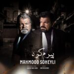 دانلود آهنگ محمود سهیلی پیرم کرد